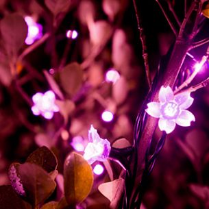 花ももの花びらを模したイルミ♪