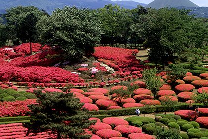 小室山（こむろやま）