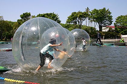 伊豆ぐらんぱる公園