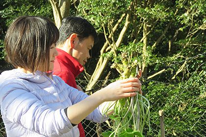 天城わさびの里