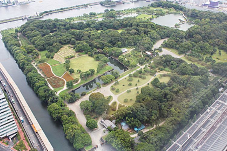 浜離宮恩賜庭園