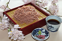 sakurahuumisoba2012.0408.jpg