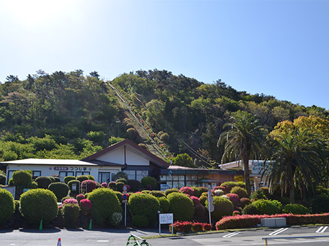 絶景スポット巡り&つつじ祭り