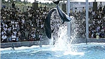 マリンピア日本海（水族館）チケット